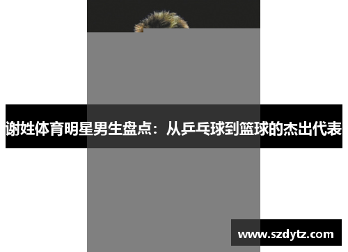 谢姓体育明星男生盘点：从乒乓球到篮球的杰出代表
